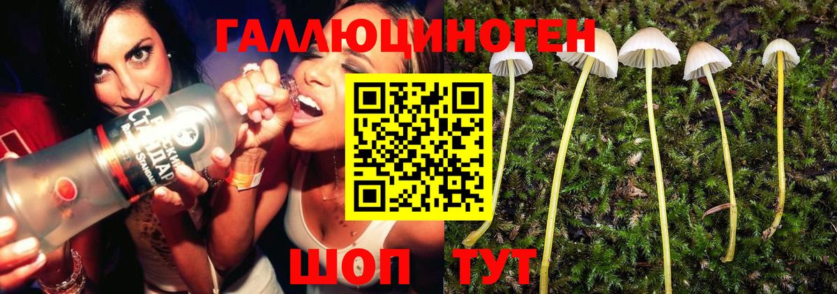 Галлюциногенные грибы MAGIC MUSHROOMS  Галлюциногенные грибы ЛСД  Вход с VPN  где можно купить наркотик  Алапаевск 