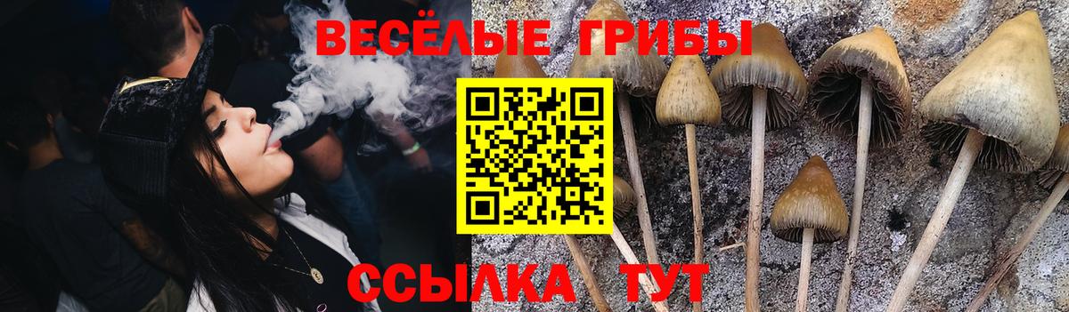 Псилоцибиновые грибы ЛСД Алапаевск